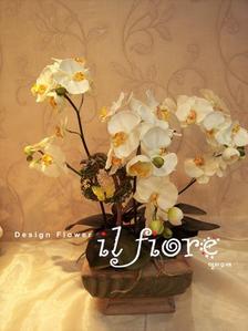 화이트 호접 (silk flower)